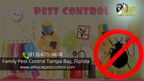 Pest control tampa. Things To Know About Pest control tampa. 